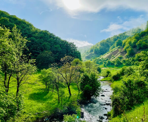 Services Services 06