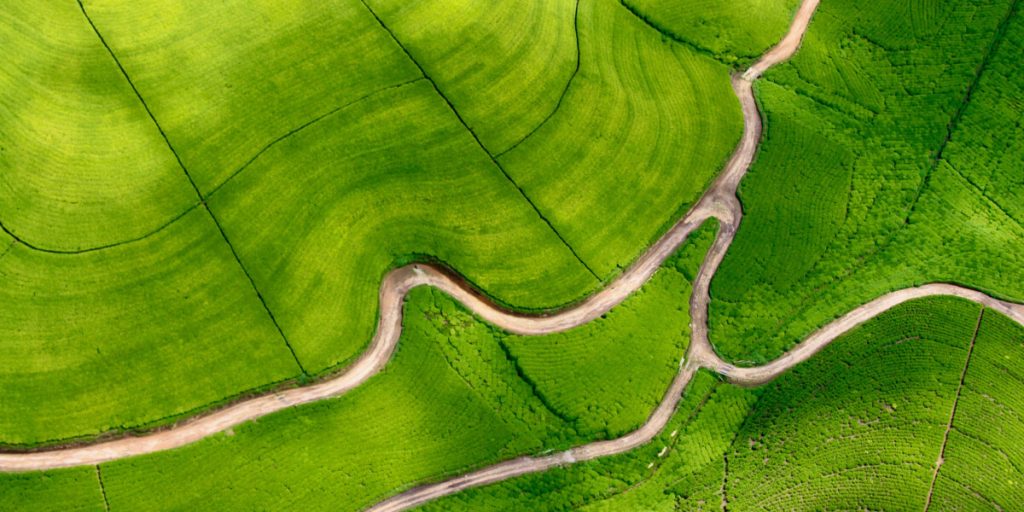 Services Services Header 1024x512 1